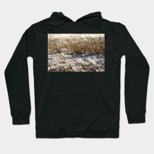 Nature's Bling ~ Peace Hoodie